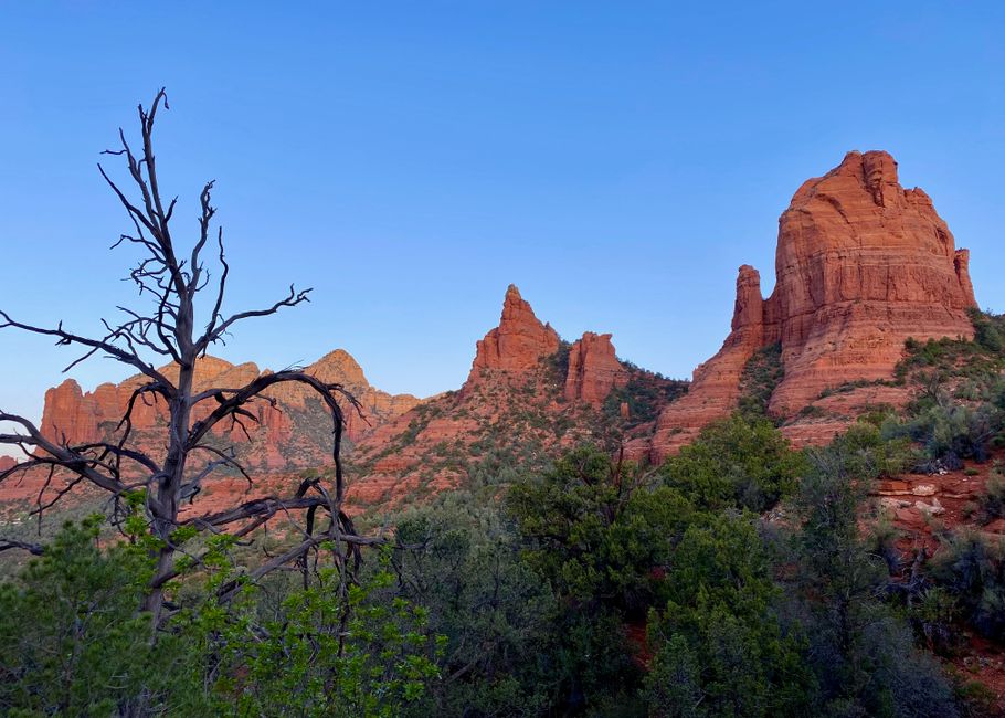 Sedona Red-Rock Trail with a local dessert stop — travel · USA Travel
