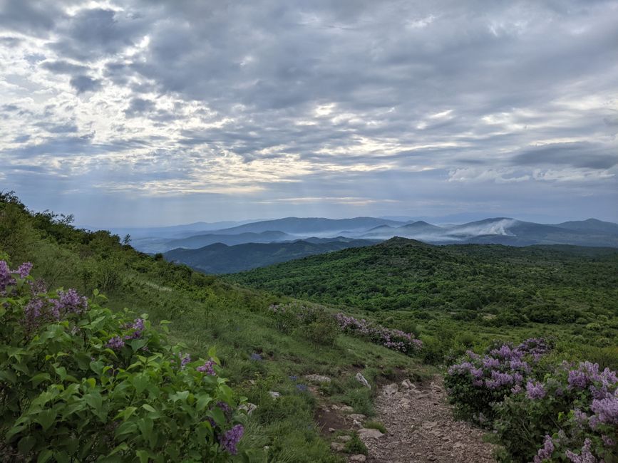 Blue Ridge Overlook near a hidden garden — travel · USA Travel