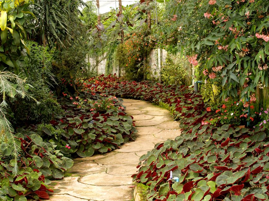 Botanical Garden Path with a gratitude prompt — wellness · Walking & Outdoor
