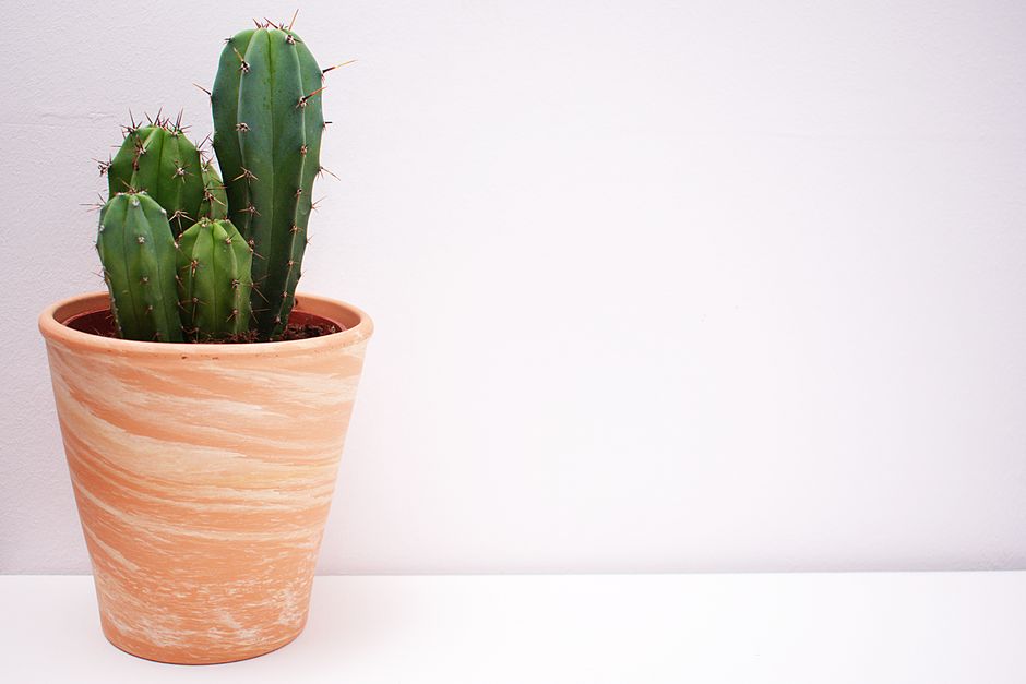 Painted Terracotta Pot using fabric scraps — diy-creativity · Crafts