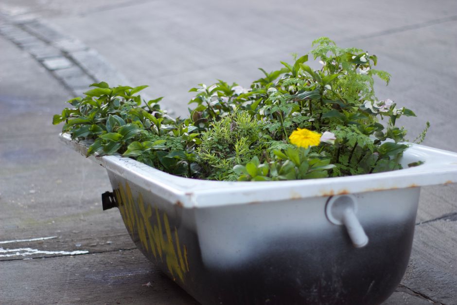 21 Drawer Planter ideas
