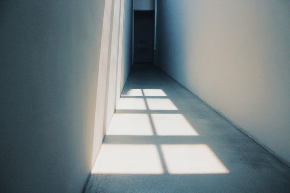 Window-Light Portrait — doorway geometry learning using pressed botanicals — diy-creativity · Photography