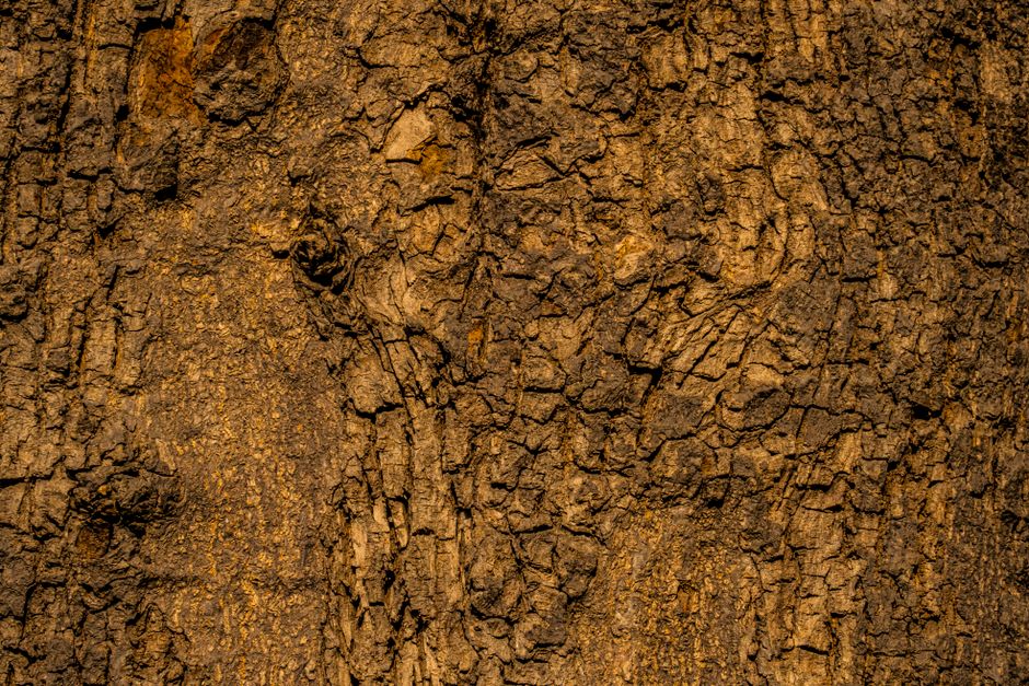Texture Close-Up for a small creative corner — diy-creativity · Photography