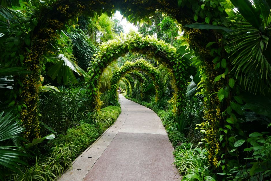 Botanical Garden Path after a busy meeting after a busy meeting — wellness · Walking & Outdoor