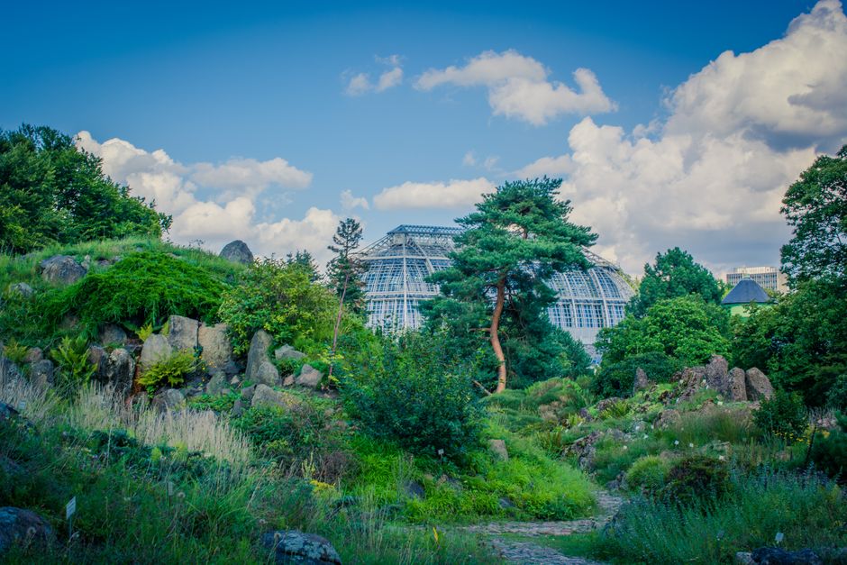 Botanical Garden Path during a digital detox — wellness · Walking & Outdoor
