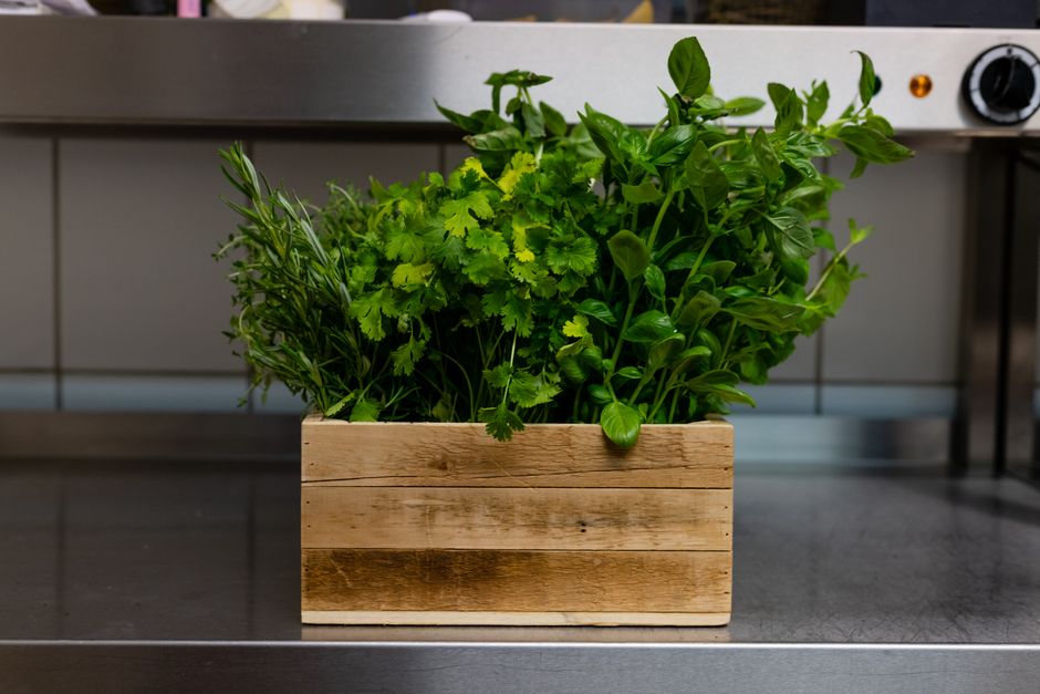 Herb Planter with a cozy corner detail — home · Garden & Outdoor