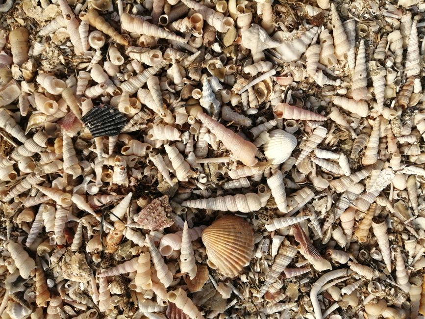 Beach Treasure Walk for travelers who prefer small stops — travel · Family Travel