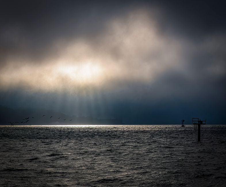 Sunlight Break with a body-scan moment — wellness · Healthy Habits