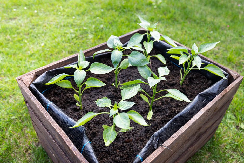Raised Bed with a soft linen layer — home · Garden & Outdoor