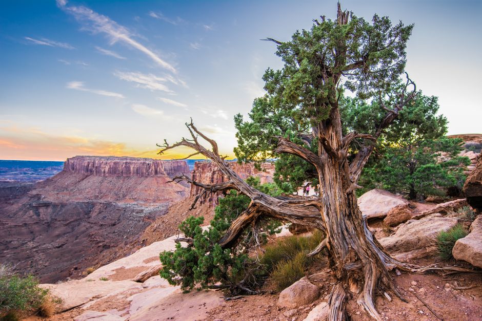 Juniper Overlook for a solo afternoon — travel · National Parks