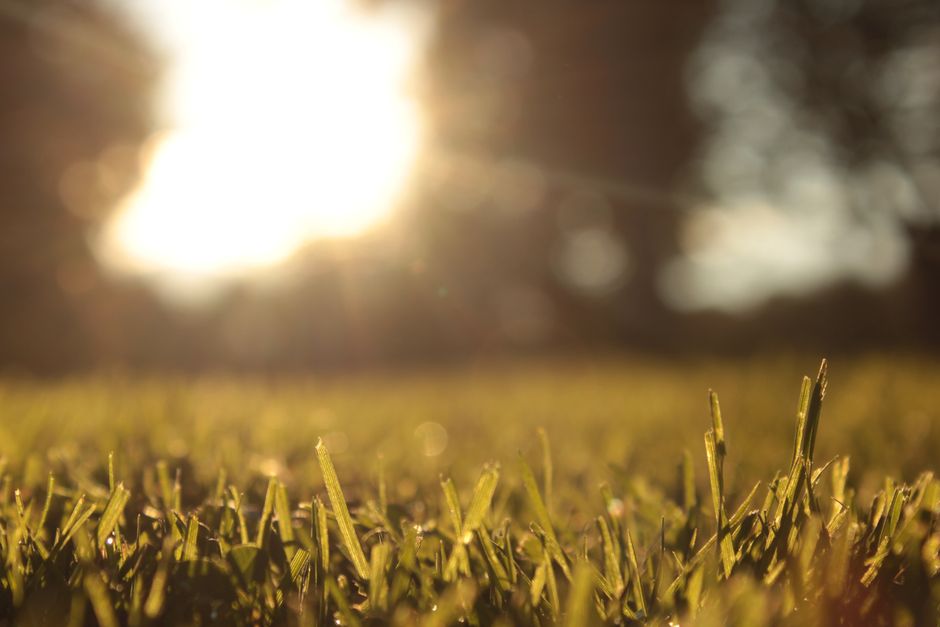 Sunlight-First Start after a stressful day after a stressful day — wellness · Morning Routines