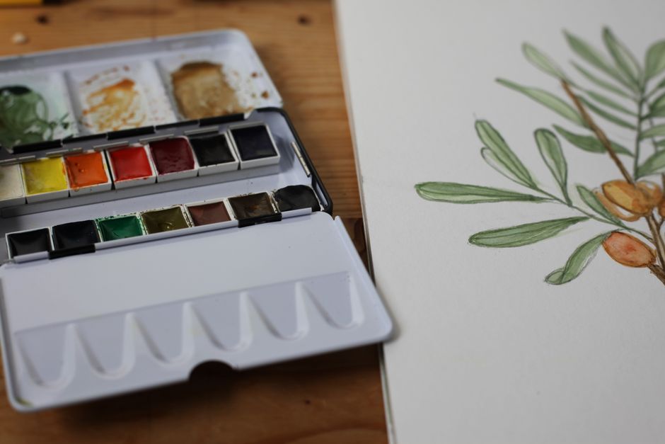 Gouache Fruit Study with a hand-lettered element — diy-creativity · Art & Painting