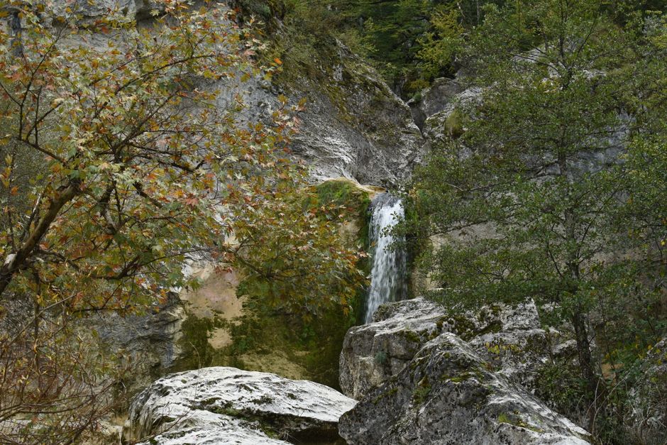 Easy Waterfall Trail with a relaxed coffee stop — travel · Family Travel