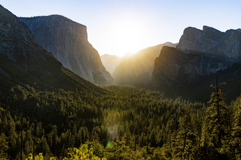 Canyon Sunrise with a short nature break — travel · National Parks