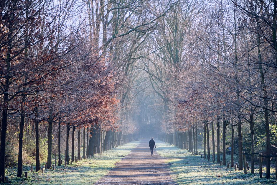 Quiet Walk when your routine feels stale — lifestyle · Self-Care