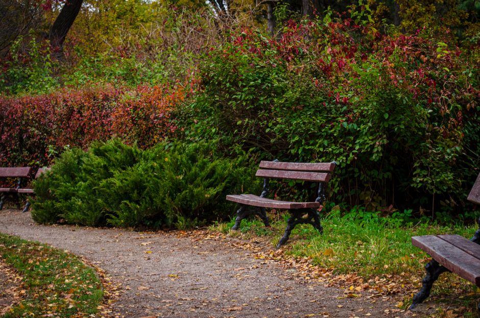 Garden Bench with removable updates — home · Garden & Outdoor