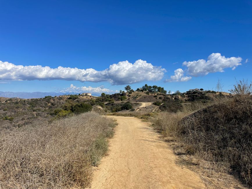 Hilltop Trail with a sunlight habit — wellness · Walking & Outdoor