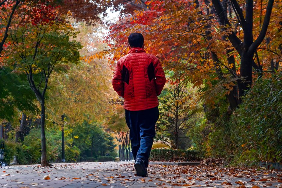 Walking Reminder during a quiet evening — wellness · Healthy Habits