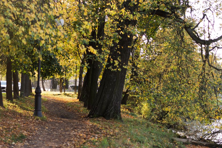River Path after a stressful day after a stressful day — wellness · Walking & Outdoor