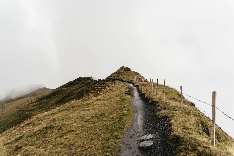 Hilltop Trail for a beginner routine — wellness · Walking & Outdoor