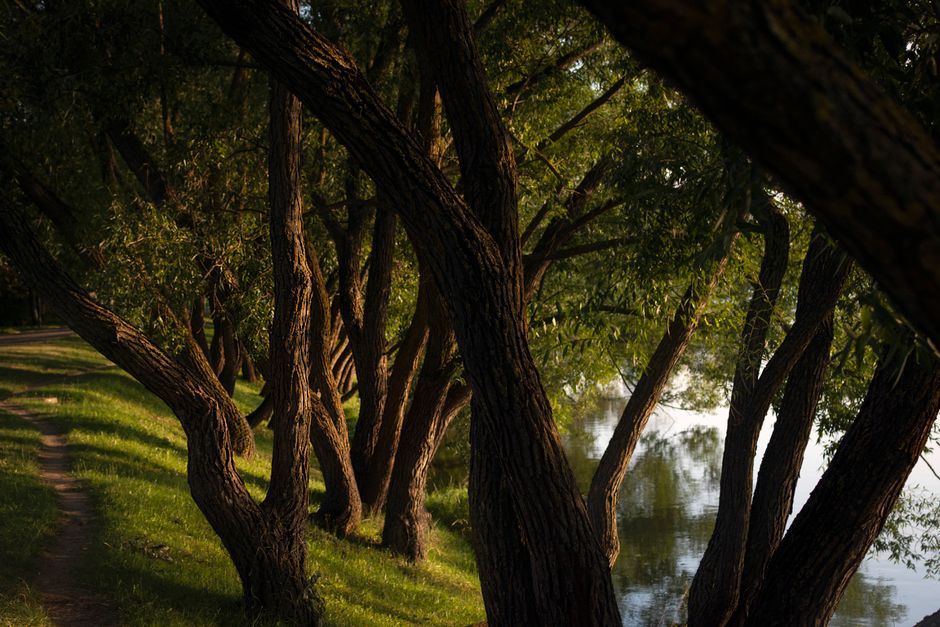 River Path with a nature break — wellness · Walking & Outdoor