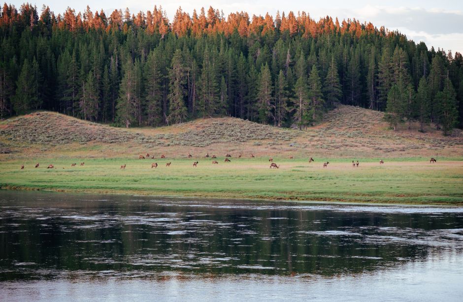 Wildlife Viewing Pullout with a sunset finish — travel · National Parks