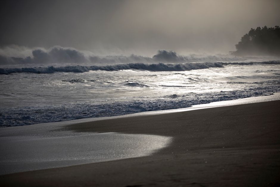 Olympic Peninsula Coast for a flexible itinerary — travel · USA Travel