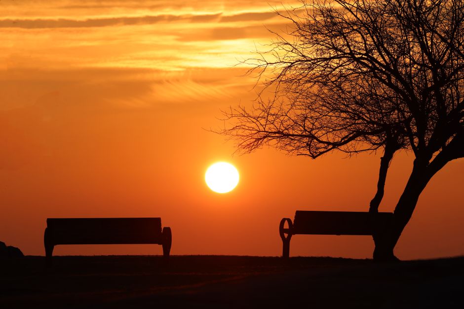 Sunset Pause with a gratitude prompt — wellness · Feel-Good Activities