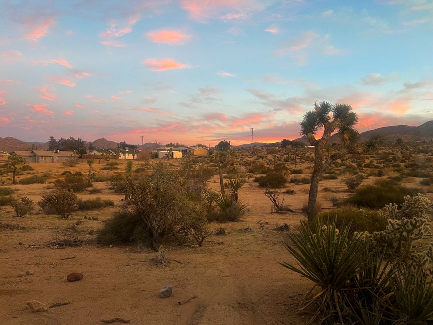 Joshua Tree Sunrise with a flexible return route — travel · USA Travel