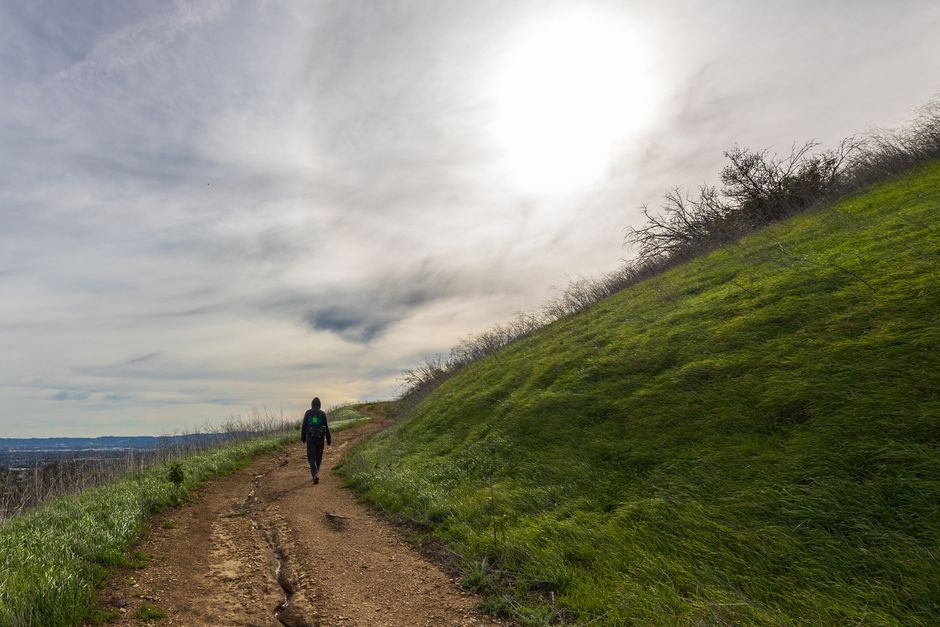 Hilltop Trail with a soothing soundscape — wellness · Walking & Outdoor