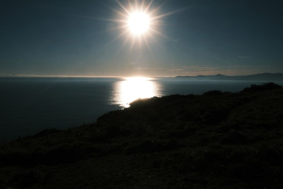 Sunlight-First Start with a calming tea ritual — wellness · Morning Routines