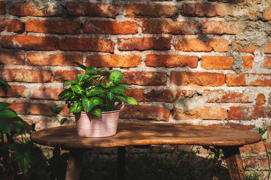 Tin-Can Planter for a keepsake project — diy-creativity · Upcycling