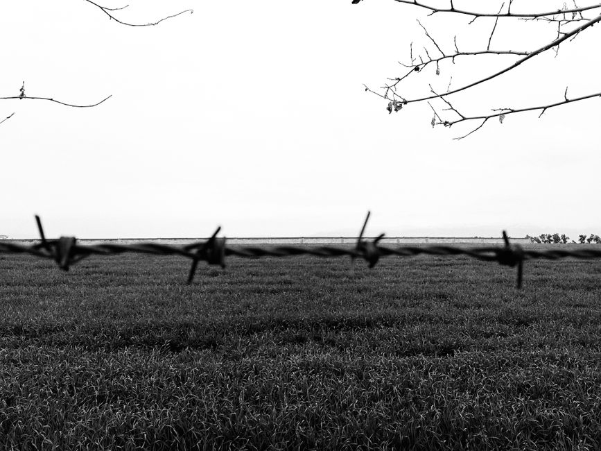 Boundary Script around a simple personal ritual — lifestyle · Personal Growth