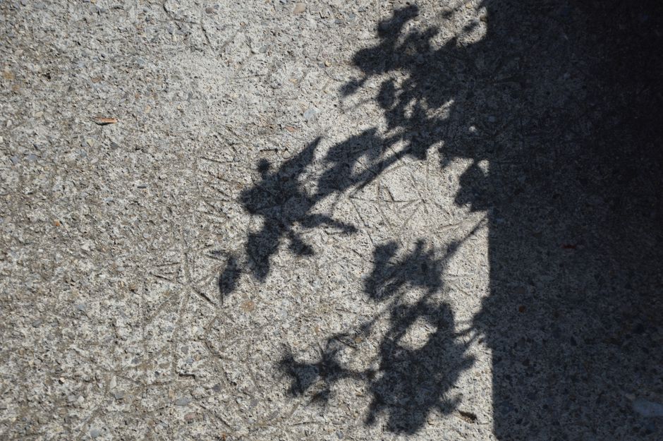 Shadow Study for study thoughtful gifting — diy-creativity · Photography
