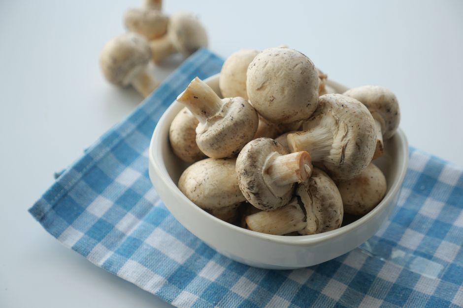 24 Mushroom Stroganoff ideas