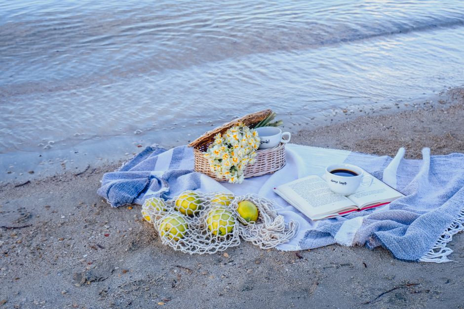 Beach Picnic for travelers avoiding crowds — travel · Beach Vacations