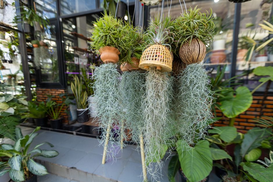 Vertical Planter using renter-friendly details — home · Garden & Outdoor