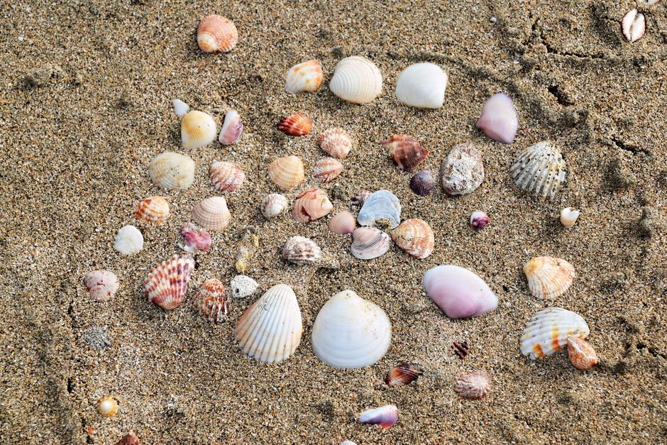 Beach Treasure Walk around a local craft shop — travel · Family Travel