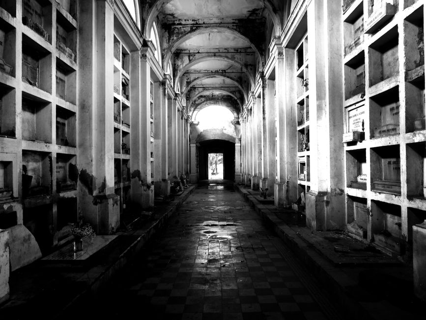 Haunted Hallway around a quiet morning celebration — celebrations · Halloween