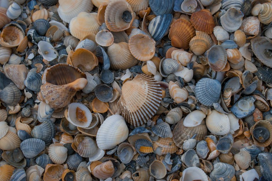 Beach Treasure Walk around a memorable ferry ride — travel · Family Travel