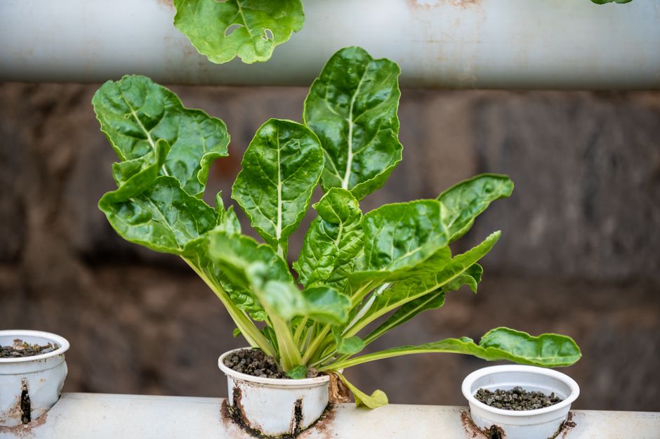 Build-Your-Own Food Bar with an elegant thrifted detail — celebrations · Parties