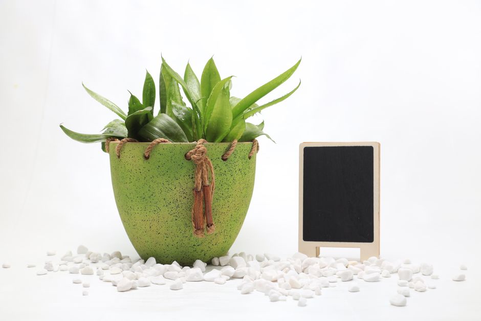 Rope Planter from thrifted frames — home · DIY