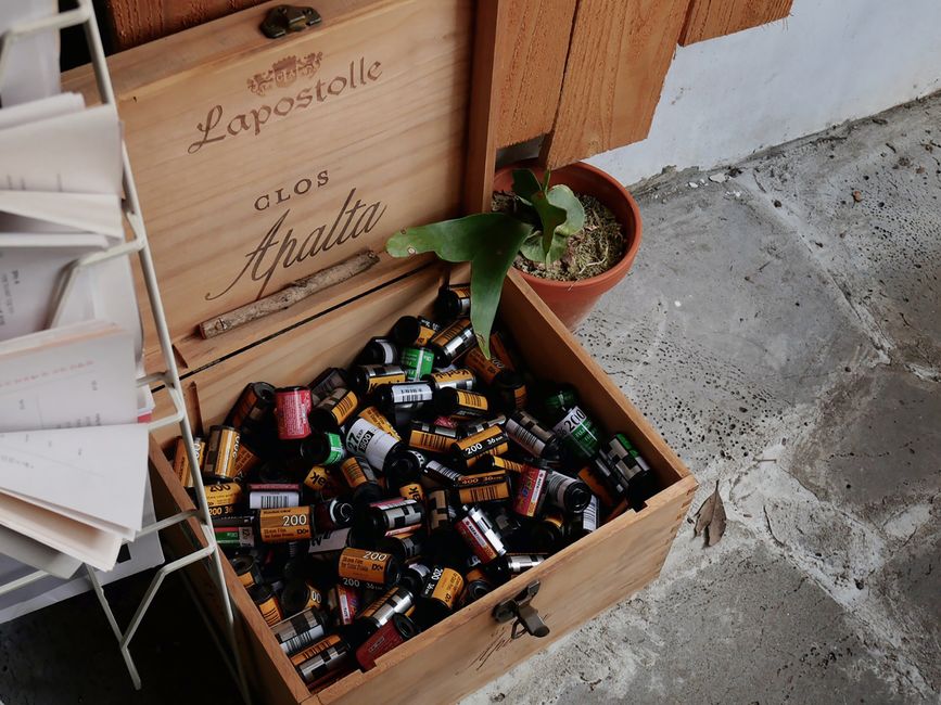 Film Photography for a fresh start — lifestyle · Hobbies