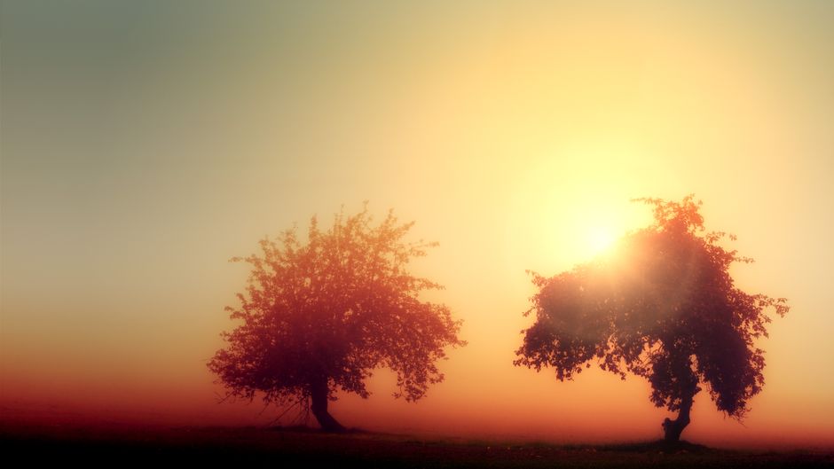 Sunlight-First Start for better evening energy — wellness · Morning Routines
