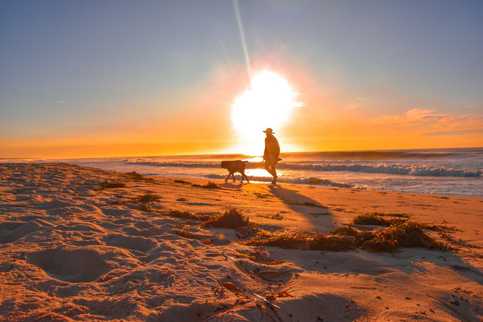 Sunrise Coffee Walk around a memorable ferry ride — travel · Couples Travel