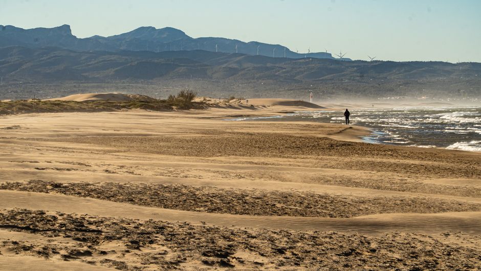 Dune Walk near a quiet beach access — travel · Beach Vacations