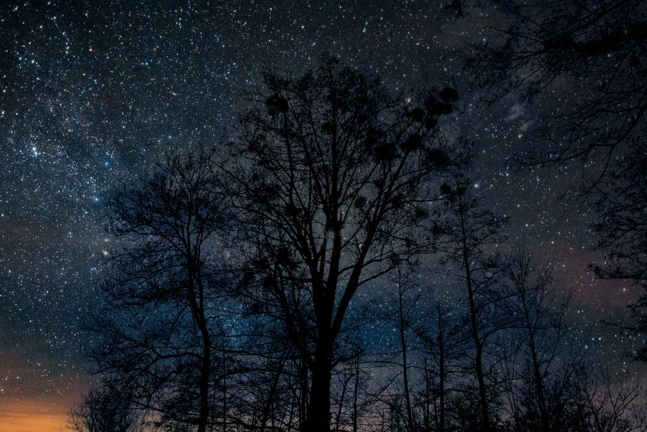 Stargazing Meadow with a museum break — travel · National Parks