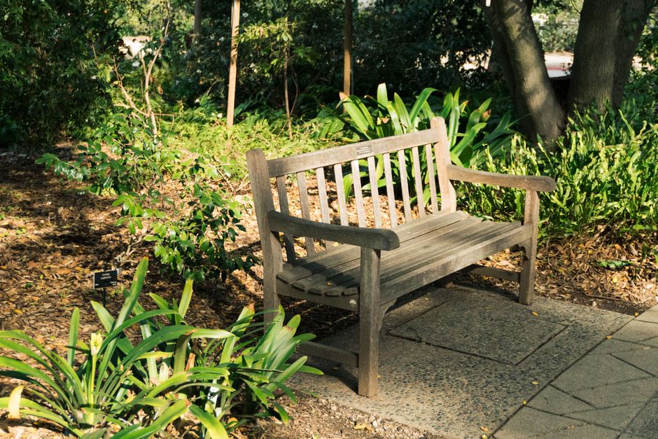 Garden Bench around a statement mirror — home · Garden & Outdoor