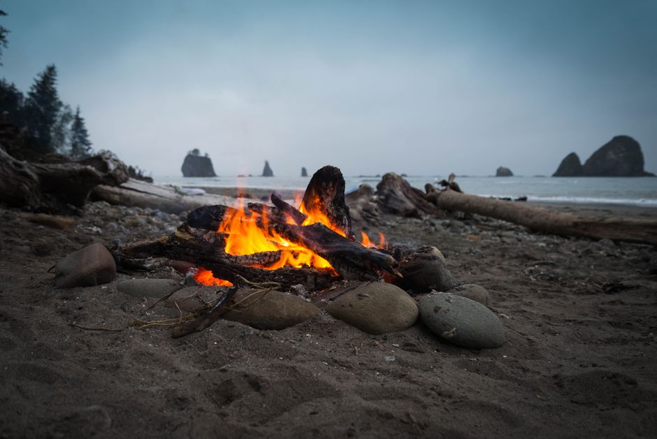 Olympic Peninsula Coast around a waterfront walk — travel · USA Travel