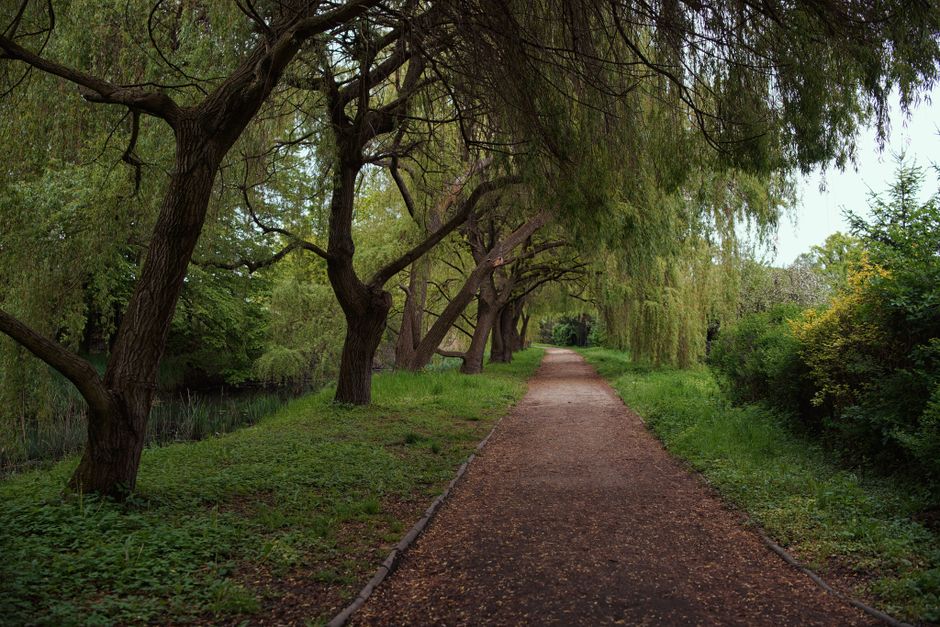 Quiet Walk for a low-energy day — lifestyle · Self-Care